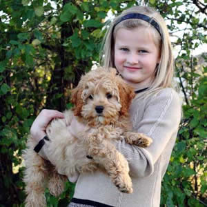 Baxter Cockapoo and julia