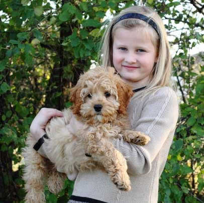 Baxter the Cockapoo and Julia