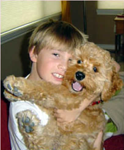 Diego Cockapoo with boy